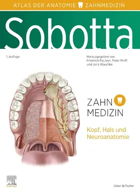 Paulsen / Proff / Waschke | Sobotta Atlas der Anatomie für Zahnmedizin | Buch | 978-3-437-44121-9 | sack.de