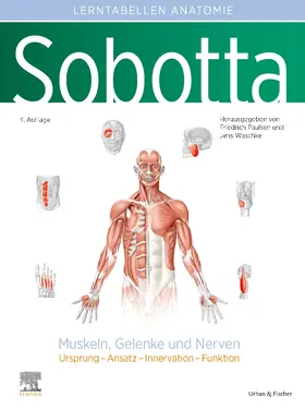 Paulsen / Waschke | Sobotta Lerntabellen Anatomie Muskeln, Gelenke und Nerven | Buch | 978-3-437-44160-8 | sack.de