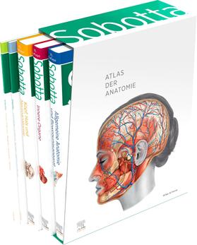 Paulsen / Waschke | Sobotta Atlas der Anatomie, 3 Bände + Lerntabellen + Poster Collection im Schuber und 6-monatiger Zugang zur Complete Anatomy-App | Buch | 978-3-437-44170-7 | sack.de