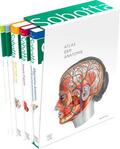 Paulsen / Waschke |  Sobotta Atlas der Anatomie, 3 Bände + Lerntabellen + Poster Collection im Schuber und 6-monatiger Zugang zur Complete Anatomy-App | Buch |  Sack Fachmedien