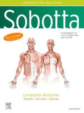 Paulsen / Waschke | Sobotta Lernposter Anatomie | Sonstiges | 978-3-437-44190-5 | sack.de