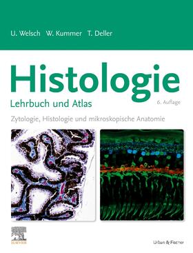 Deller / Welsch / Kummer | Histologie - Das Lehrbuch | Buch | 978-3-437-44427-2 | sack.de