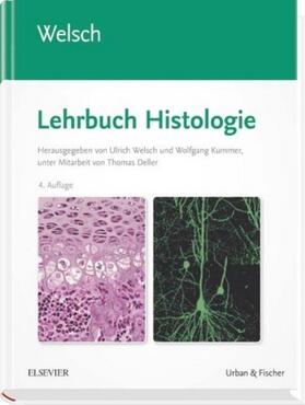 Welsch / Deller |  Lehrbuch Histologie | Buch |  Sack Fachmedien