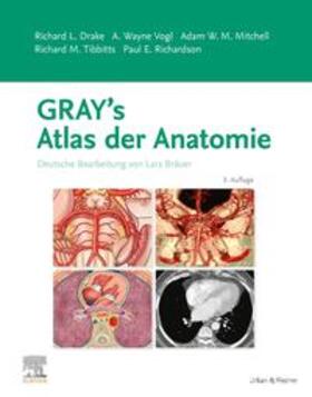 Drake / Mitchell / Vogl | Gray's Atlas der Anatomie | Buch | 978-3-437-44702-0 | sack.de