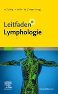 Gültig / Miller / Zöltzer |  Leitfaden Lymphologie | Buch |  Sack Fachmedien