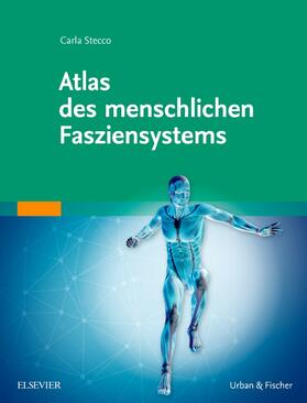 Stecco | Atlas des menschlichen Fasziensystems | Buch | sack.de
