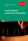 White / Cummings / Filshie |  Praxishandbuch medizinische Akupunktur | Buch |  Sack Fachmedien
