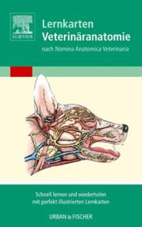Singh | Singh, B: Lernkarten Veterinäranatomie/Veterinary Anatomy Fl | Sonstiges | 978-3-437-57004-9 | sack.de