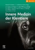 Steffen / Nelson / Couto |  Innere Medizin der Kleintiere | Buch |  Sack Fachmedien