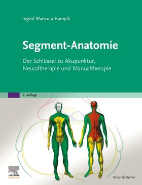 Wancura-Kampik | Segment-Anatomie | Buch | 978-3-437-57973-8 | sack.de