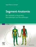 Wancura-Kampik |  Segment-Anatomie | Buch |  Sack Fachmedien