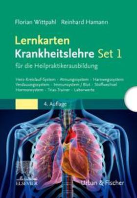 Hamann / Wittpahl | Lernkarten Krankheitslehre Set 1 für die Heilpraktikerausbildung | Sonstiges | 978-3-437-58593-7 | sack.de
