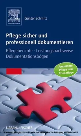 Schmitt |  Pflege sicher und professionell dokumentieren | eBook | Sack Fachmedien