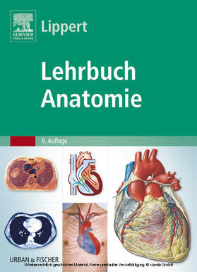 Lippert | Lehrbuch Anatomie | E-Book | sack.de