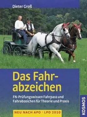 Groß |  Das Fahrabzeichen | Buch |  Sack Fachmedien