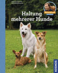 Rütter / Buisman |  Haltung mehrerer Hunde | Buch |  Sack Fachmedien