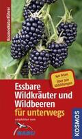 Beiser |  Essbare Wildkräuter und Wildbeeren - Naturführer für unterwegs | Buch |  Sack Fachmedien