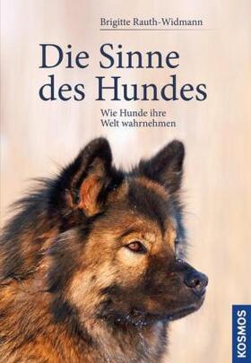 Rauth-Widmann |  Die Sinne des Hundes | Buch |  Sack Fachmedien