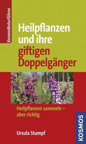 Stumpf |  Heilpflanzen und ihre giftigen Doppelgänger | Buch |  Sack Fachmedien