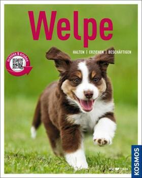 Esser |  Welpe | Buch |  Sack Fachmedien