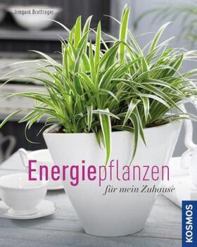 Brottrager |  Energiepflanzen für mein Zuhause | Buch |  Sack Fachmedien
