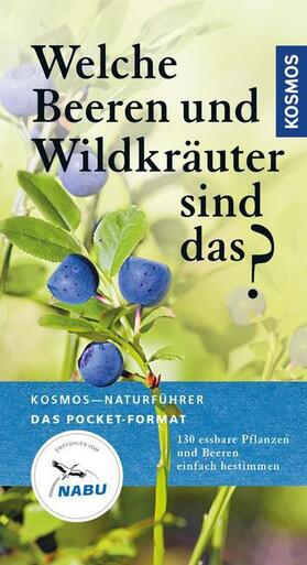 Dreyer |  Welche Beeren und Wildkräuter sind das? | Buch |  Sack Fachmedien