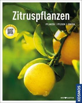 Große Holtforth |  Zitruspflanzen | Buch |  Sack Fachmedien