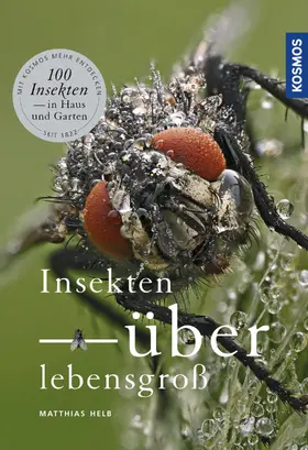 Helb |  Insekten überlebensgroß | eBook | Sack Fachmedien