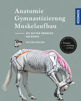Higgins |  Anatomie, Gymnastizierung, Muskelaufbau | Buch |  Sack Fachmedien