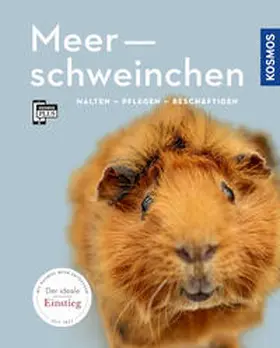 Beck |  Meerschweinchen | Buch |  Sack Fachmedien