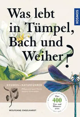 Engelhardt / Martin / Rehfeld |  Was lebt in Tümpel, Bach und Weiher? | Buch |  Sack Fachmedien