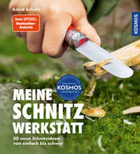 Schulte |  Meine Schnitzwerkstatt | Buch |  Sack Fachmedien