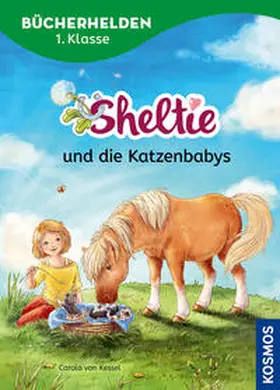 Kessel / Clover |  Sheltie, Bücherhelden 1. Klasse, Sheltie und die Katzenbabys | Buch |  Sack Fachmedien