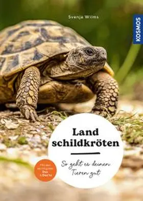Wilms |  Landschildkröten | Buch |  Sack Fachmedien