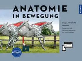 Higgins |  Anatomie in Bewegung | Buch |  Sack Fachmedien