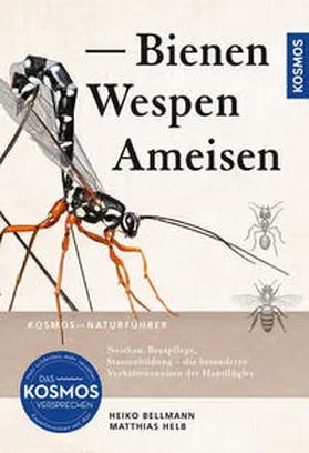 Bellmann / Helb |  Bienen, Wespen, Ameisen | Buch |  Sack Fachmedien