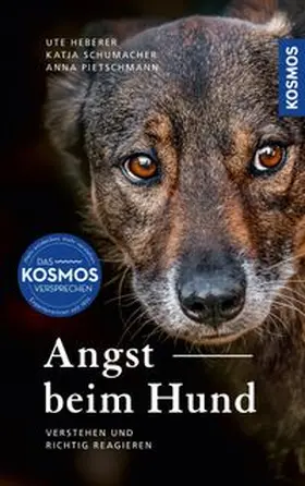 Heberer / Schumacher / Pietschmann |  Angst beim Hund | eBook | Sack Fachmedien