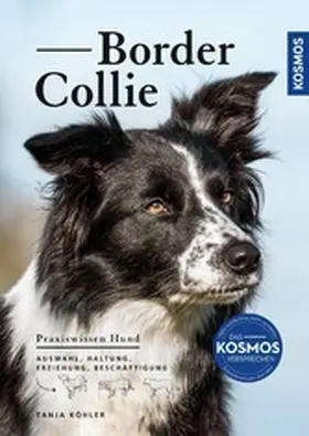 Köhler |  Border Collie | eBook | Sack Fachmedien