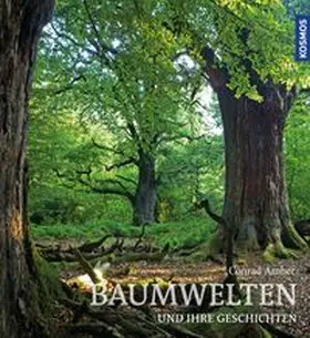 Amber |  Baumwelten | eBook | Sack Fachmedien