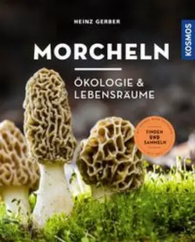 Gerber |  Morcheln | eBook | Sack Fachmedien