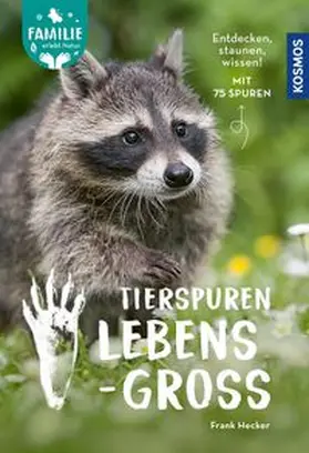 Hecker |  Tierspuren lebensgroß | eBook | Sack Fachmedien