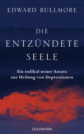 Bullmore |  Die entzündete Seele | Buch |  Sack Fachmedien