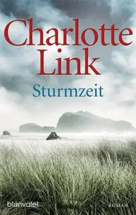 Link | Sturmzeit | Buch | 978-3-442-37416-8 | www.sack.de