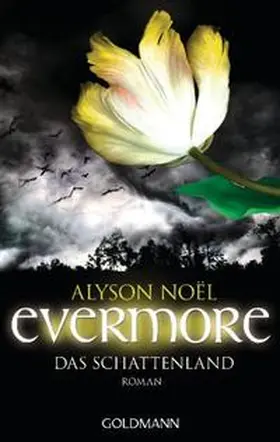 Noël |  Evermore 03 - Das Schattenland | Buch |  Sack Fachmedien