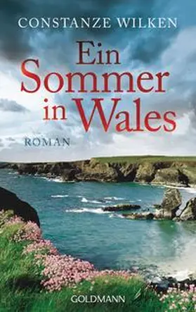 Wilken |  Ein Sommer in Wales | Buch |  Sack Fachmedien