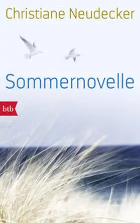 Neudecker |  Sommernovelle | Buch |  Sack Fachmedien