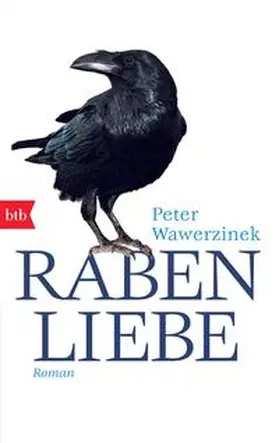 Wawerzinek |  Rabenliebe | Buch |  Sack Fachmedien