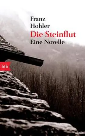Hohler |  Die Steinflut | Buch |  Sack Fachmedien