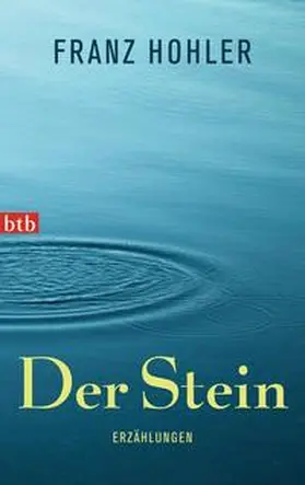 Hohler |  Der Stein | Buch |  Sack Fachmedien