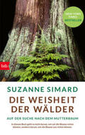 Simard |  Die Weisheit der Wälder | Buch |  Sack Fachmedien